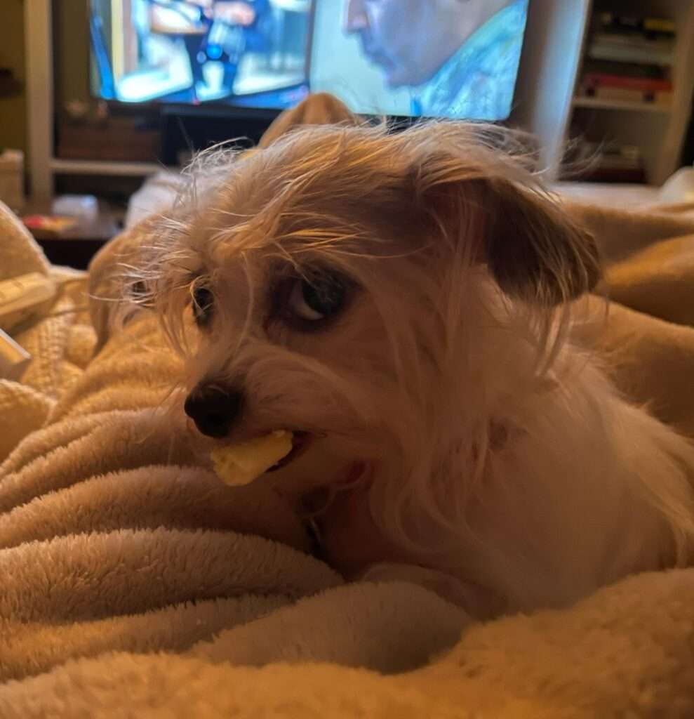 dog side eye meme