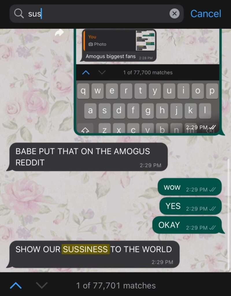 hilarious sus meme